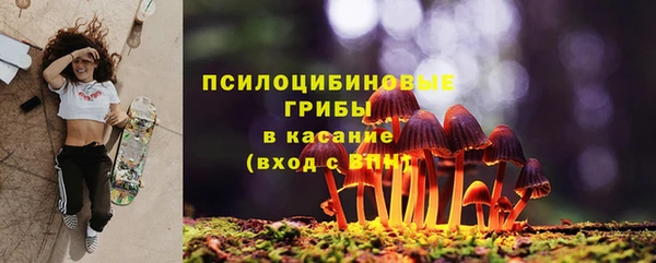 apvp Абаза