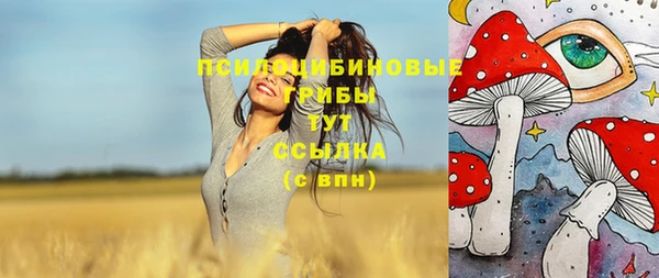 apvp Абаза
